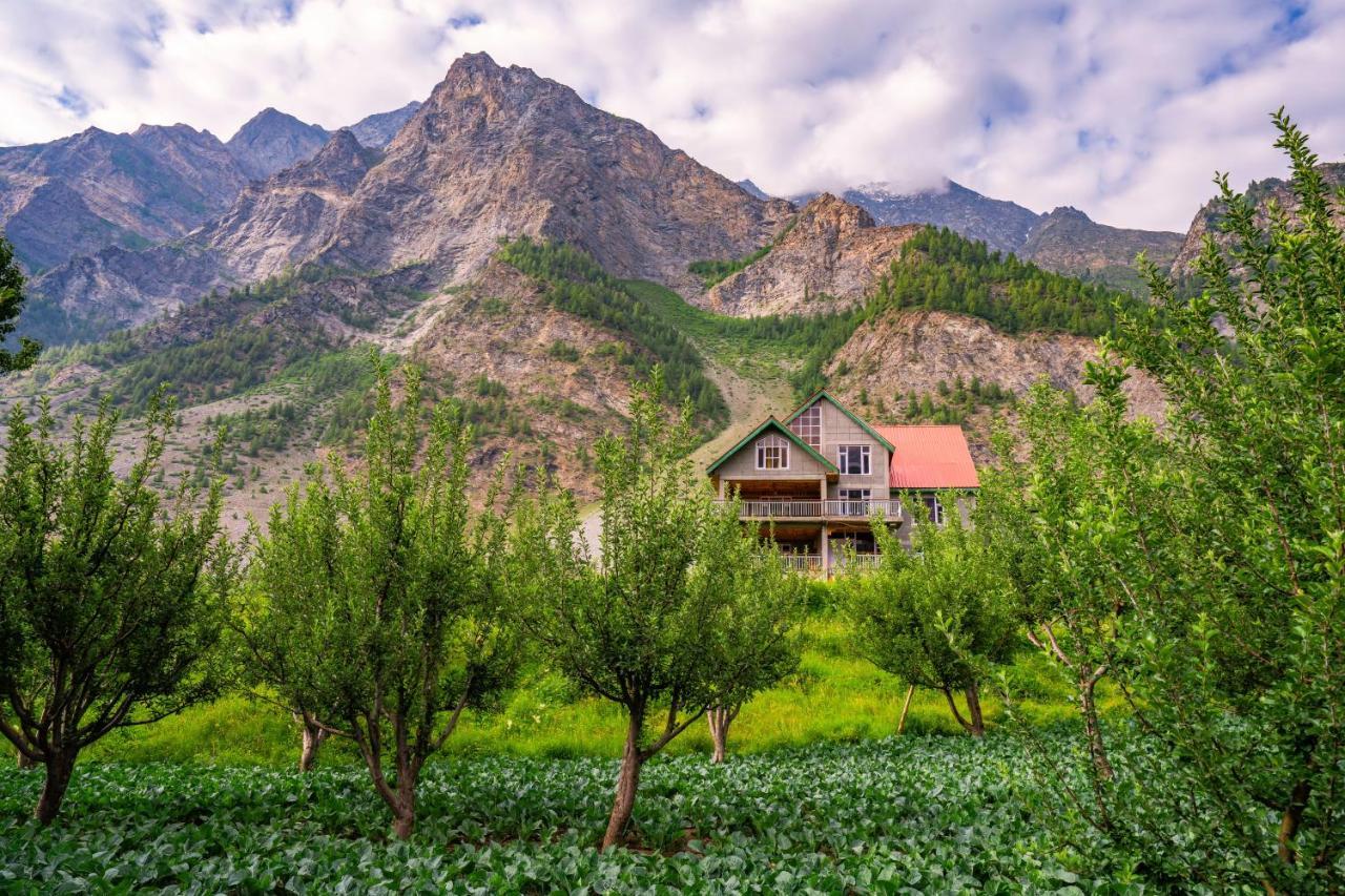Zostel Homes Rashil Tandi Экстерьер фото